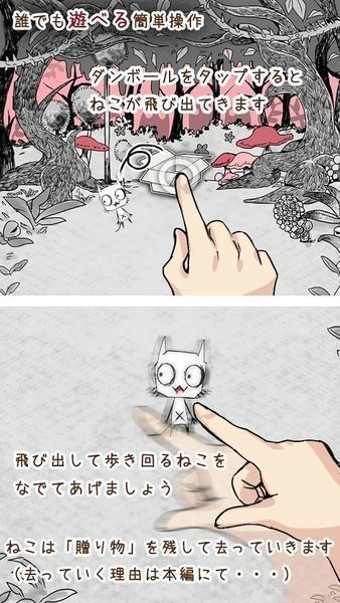 猫和纸箱